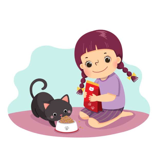 5 Cara Memberi Makan Kucing Dengan Whiskas Basah