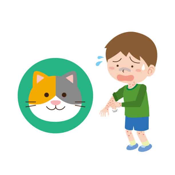 Ciri-Ciri Orang Alergi Bulu Kucing