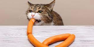 Bolehkah Kucing Makan Sosis Ini Jawabannya