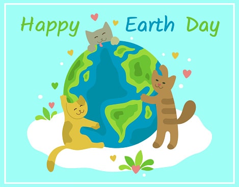 Cara Merayakan Hari Kucing Nasional
