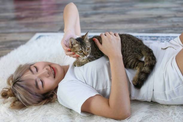 Mengenali Siapa yang Mengelusnya, kucing mendengkur artinya