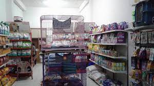 10 Petshop Palembang 2023, Toko Kebutuhan Hewan Terlengkap dan Harga Murah