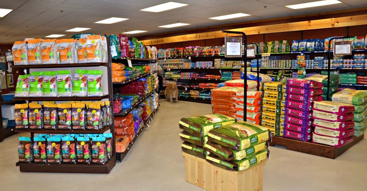 10 Toko Pet Shop Bintaro 2023 Terdekat, Terlengkap, Harga Murah dan 24 Jam