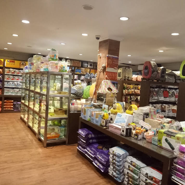 8 Grosir Toko Petshop 24 Jam 2023 di Jakarta Terlengkap, Harga Murah