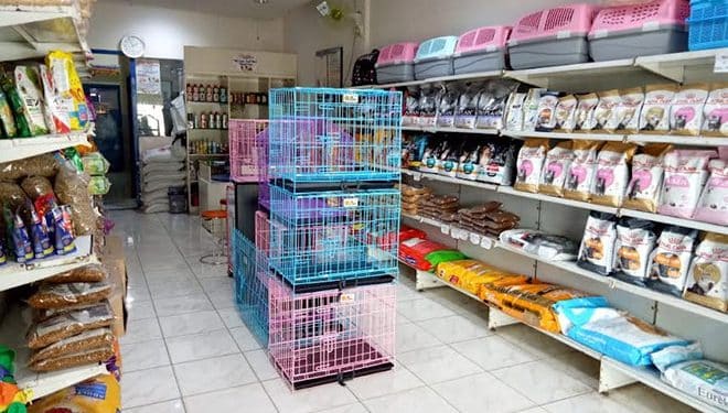 8 Toko Petshop Medan Terlengkap 2023 Harga Murah Beserta Alamatnya