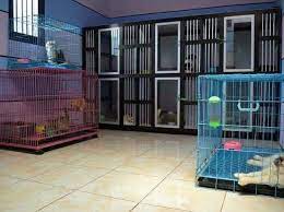 Happy petshop garut