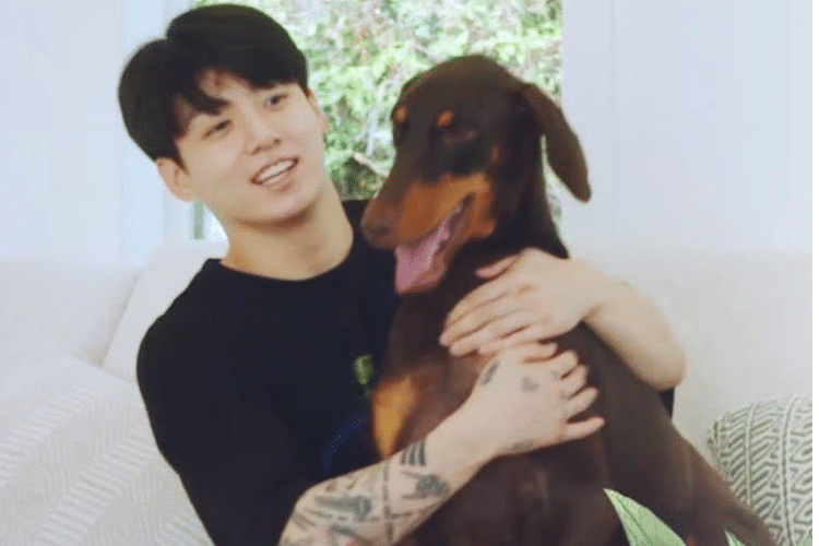 Kenapa Anjing Menggonggong Tengah Malam Ini Alasan Penyebabnya