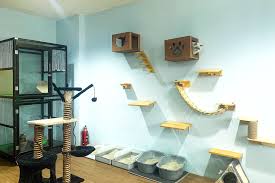 Tempat Penitipan Kucing di Cempaka Putih Jakarta Pusat, Fasilitas Lengkap, Cara Memilih, Syarat dan Harga Murah 2024