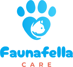 Picture of Pet Shop Indonesia