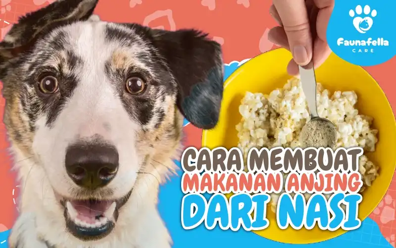 Cara Membuat Makanan Anjing Dari Nasi