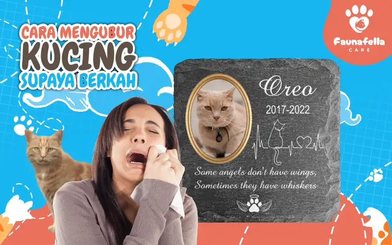 Cara Mengubur Kucing Supaya Berkah