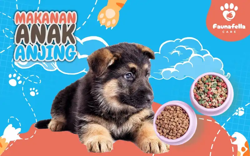 Makanan Anak Anjing