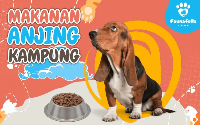 Makanan anjing kampung