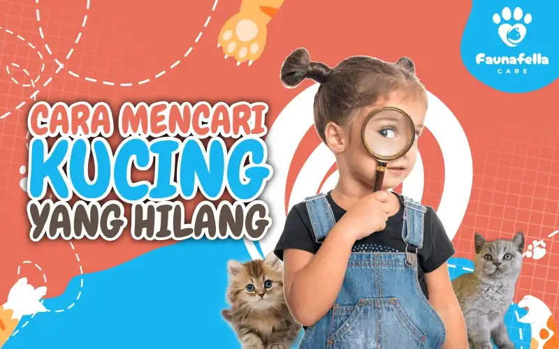 Cara Mencari Kucing Yang Hilang