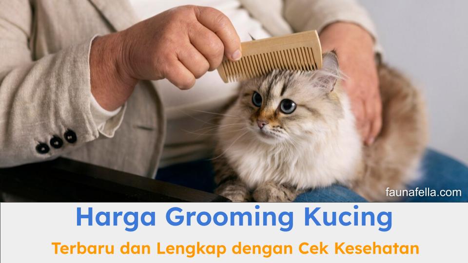 Harga grooming kucing terbaru bisa menjadi acuan untuk melakukan grooming agar kucing lebih sehat dan terawat.