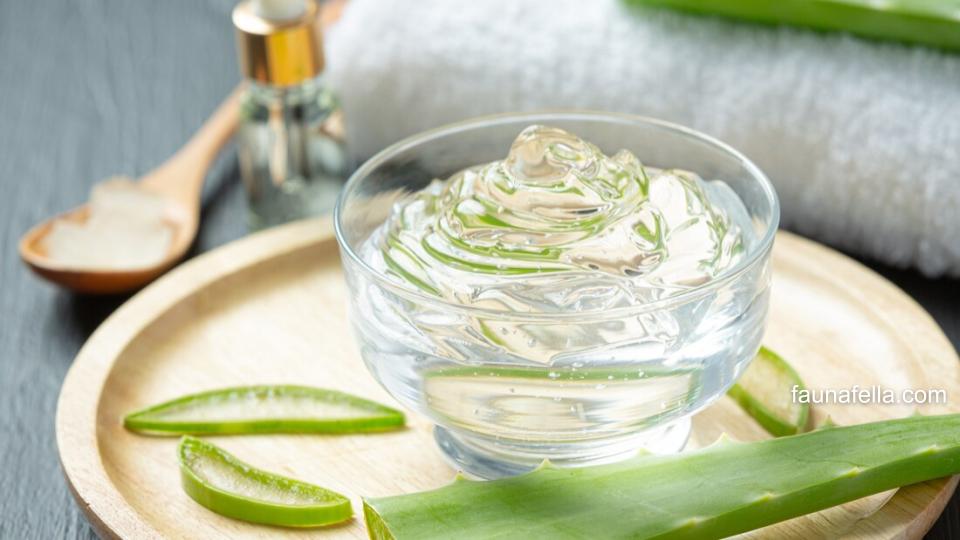 Shampoo kucing anti jamur harus mengandung berbagai bahan yang efektif menghilangkan jamur seperti aloe vera.