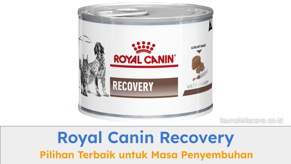 Royal Canin Recovery adalah pilihan terbaik untuk kucing atau anjing yang dalam masa penyembuhan setelah operasi atau sakit.