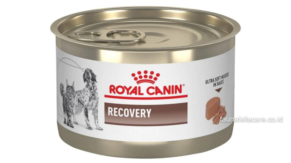 Royal Canin Recovery sebaiknya Anda berikan pada kucing atau anjing sesuai rekomendasi dokter atau ketika kondisi kucing sedang lemah.