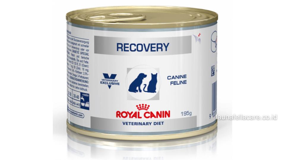 Di antara rekomendasi dan merek makanan kucing terbaik, Royal Canin masih menjadi andalan para pecinta kucing di tanah air.