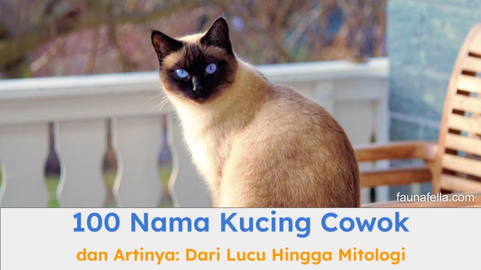 100 nama kucing cowok dapat menjadi inspirasi dalam memilih nama yang tepat untuk anabul jantan Anda.