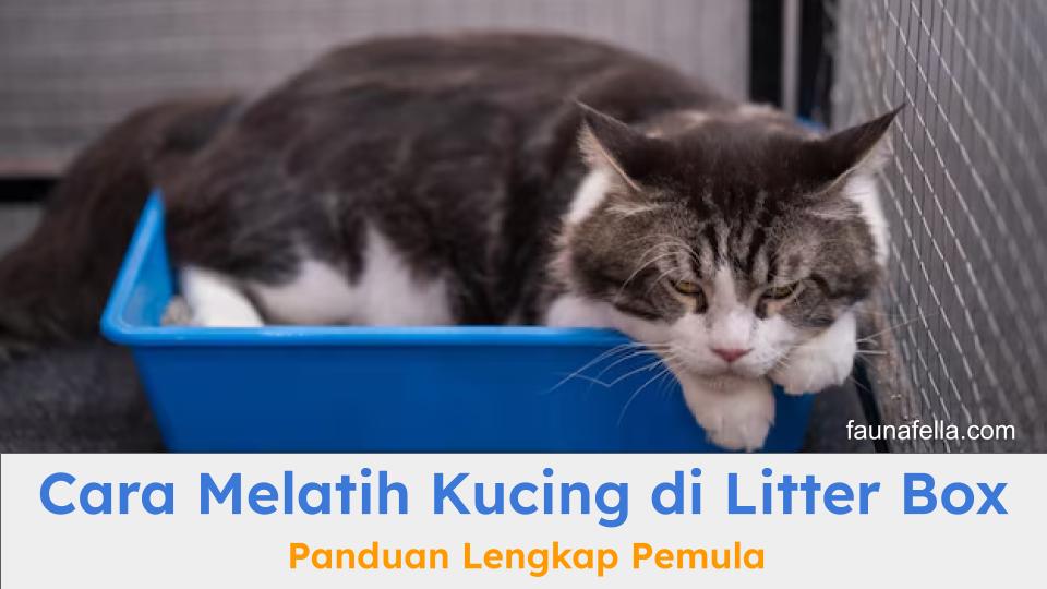 Cara melatih kucing di litter box membutuhkan kesabaran dan konsistensi agar kucing terbiasa melakukannya sendiri.