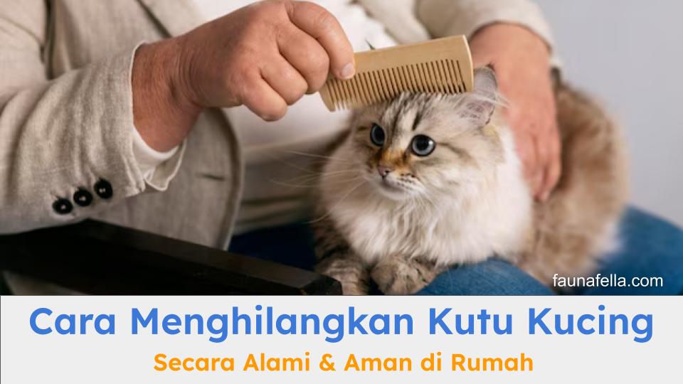 Cara menghilangkan kutu kucing dapat dilakukan secara alami dan aman di rumah. Ikuti saja panduan dan tipsnya di sini.