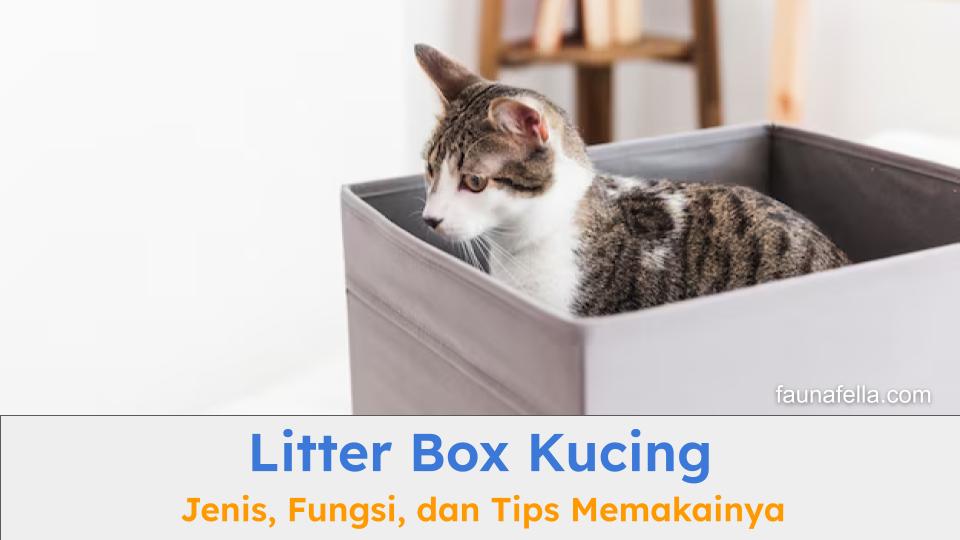 Litter box kucing menawarkan berbagai manfaat yang baik untuk kesehatan dan kebersihan kucing dan rumah.