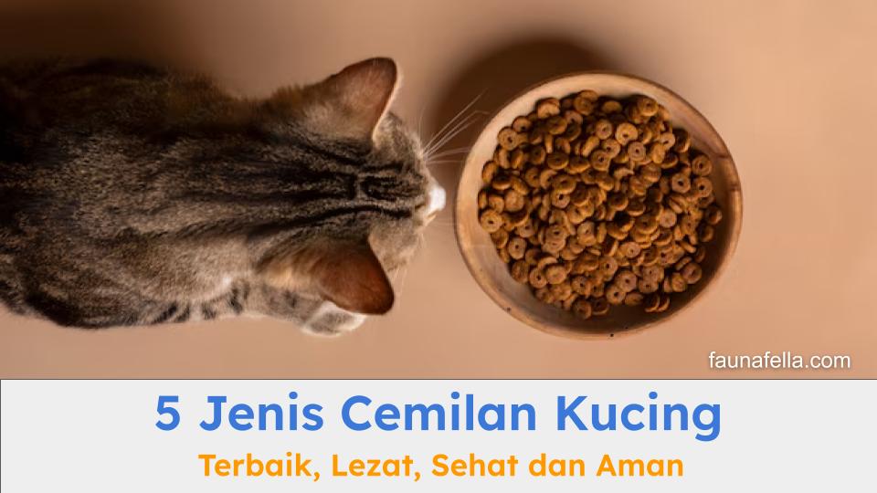 Cemilan kucing yang sehat dan bernutrisi dapat mendukung pertumbuhan dan kesehatan kucing Anda.