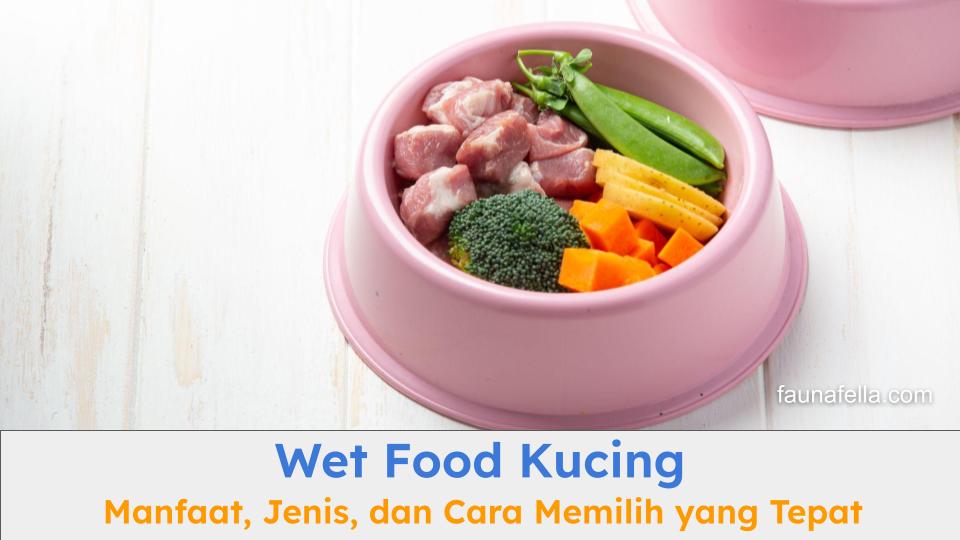 Wet food yang terdiri dari daging dan sayur sangat bagus untuk tumbuh kembang kucing.