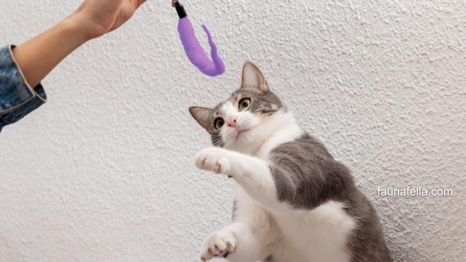 Teaser wand atau mainan kucing berbentuk tongkat dengan ujung berbulu ungu ini sangat menarik perhatian kucing.