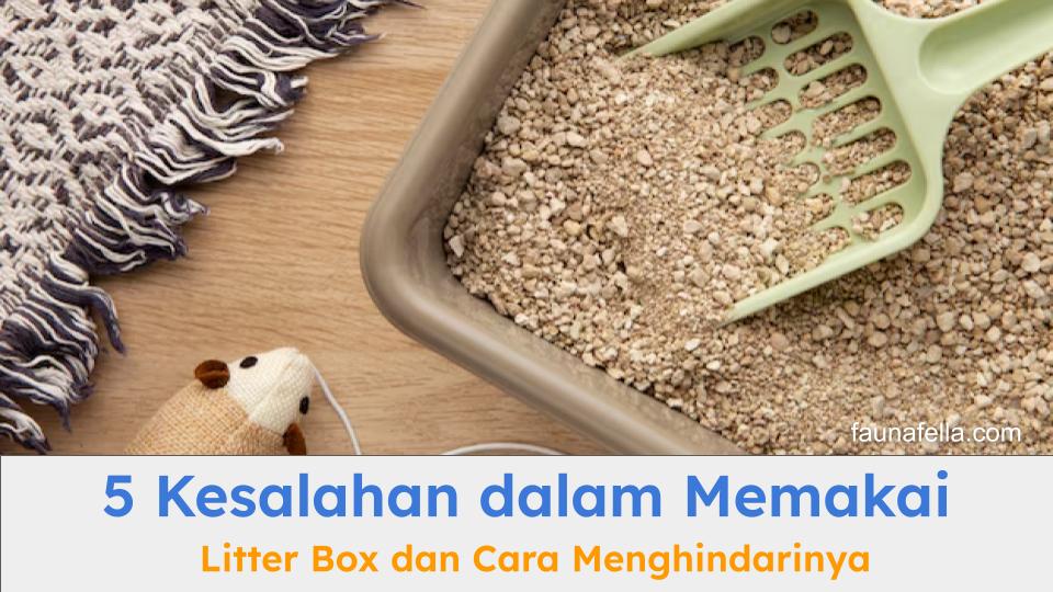 Litter box kucing yang terawat dan terlihat bersih membuat kucing semakin betah dan sehat.