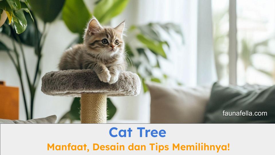 Kucing yang sedang berada di atas cat tree. Cat tree bisa membuat kucing lebih nyaman, sehat dan bebas stress.