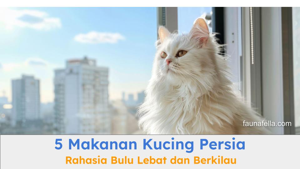 Kucing Persia ini memiliki bulu lebat, sehat dan berkilau. Makanan kucing Persia membantu menjaga kesehatan dan kilau bulu.