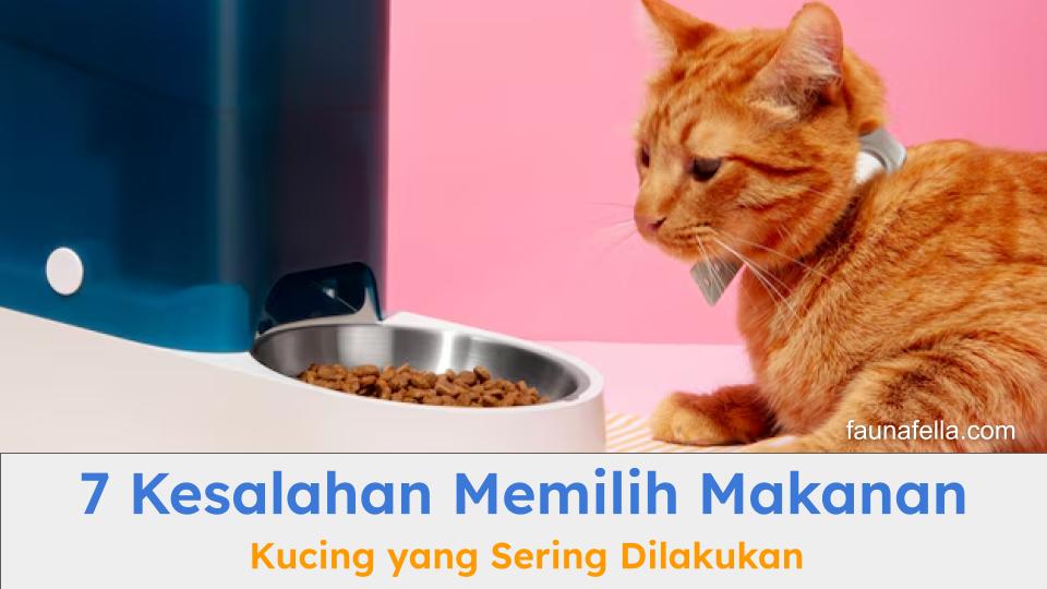 Kucing yang enggan makan karena tidak selera. Jangan salah memilih makanan kucing agar tumbuh kembang tidak terganggu.