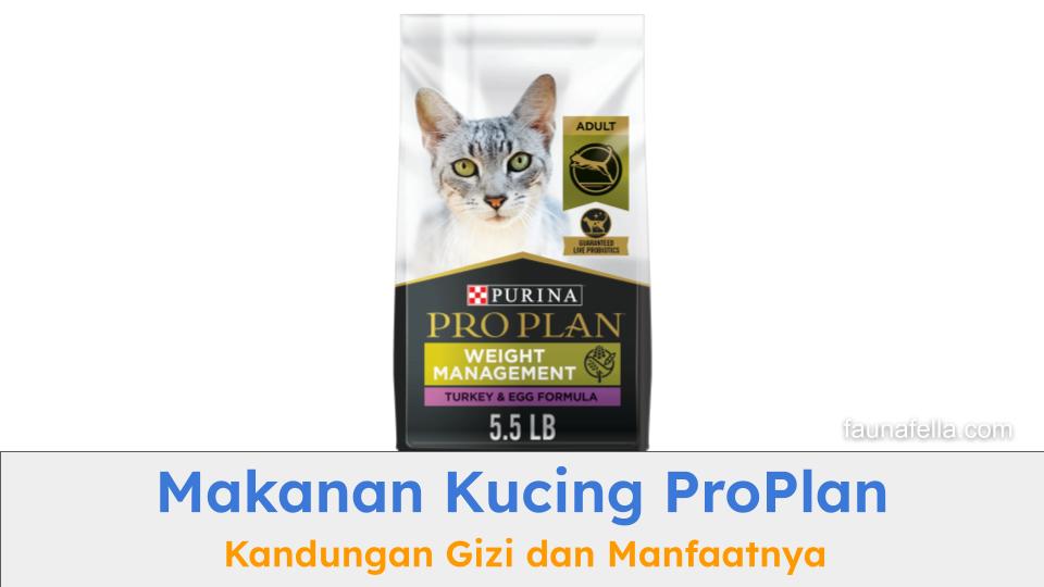 Makanan kucing Proplan mengandung bahan-bahan terbaik yang penting untuk pertumbuhan dan kesehatan kucing.