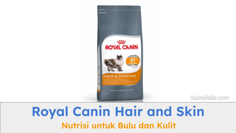 Royal Canin Hair and Skin adalah salah satu pilihan terbaik untuk menjaga ketebalan bulu dan kesehatan kulit kucing.