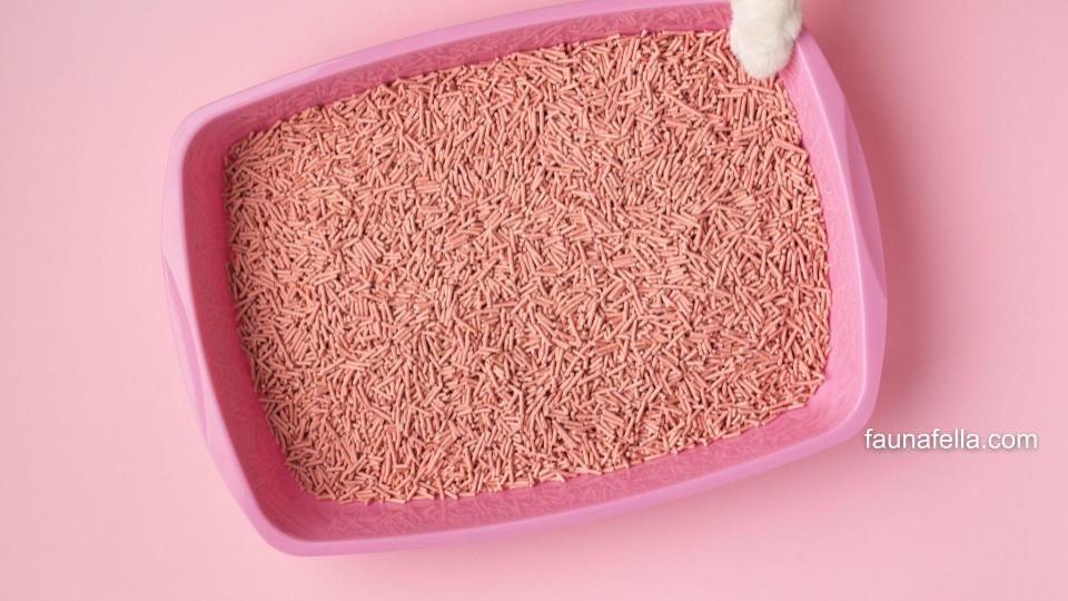 Pasir dalam litter box kucing yang kering. Pasir harus kering agar terhindar dari jamur dan bau atau bakteri.