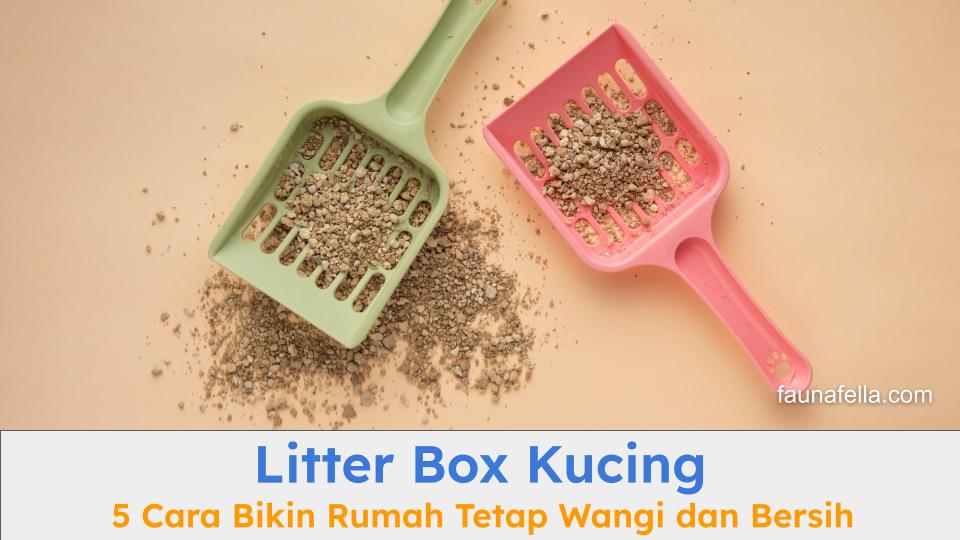 Litter box kucing dapat membuat rumah menjadi bersih dan wangi, tentu dengan cara yang benar.