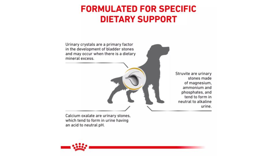 Gambaran formula dan keunggulan Royal Canin Urinary S/O untuk anjing Anda.