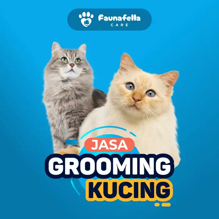 Jasa grooming kucing panggilan terdekat solusi tanpa harus ke petshop namun kucing tetap selalu bersih terawat ga pake ribet.webp
