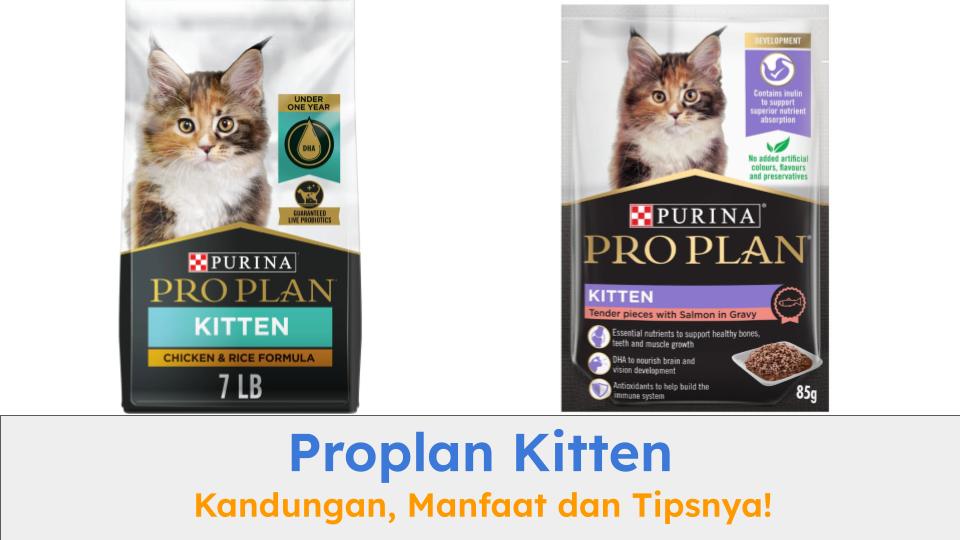 Proplan Kitten sangat cocok untuk kitten Anda. Pilih varian yang paling tepat.