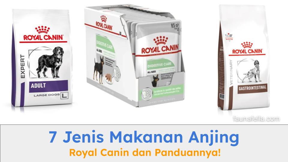 Makanan anjing Royal Canin dengan berbagai varian terbaik