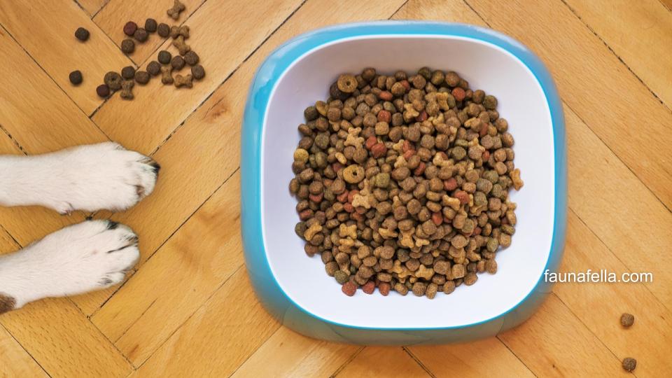Makanan anjing dewasa jenis kering memiliki kandungan nutrisi tinggi