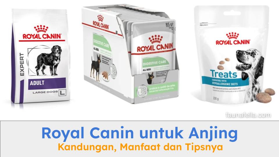 Royal Canin untuk anjing mengandung komposisi yang tepat sesuai kebutuhan anjing.
