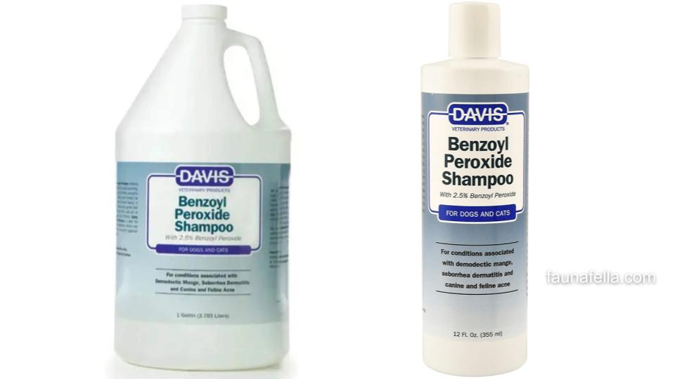 Shampoo Benzoyl dapat menjadi obat untuk penyakit kulit anjing