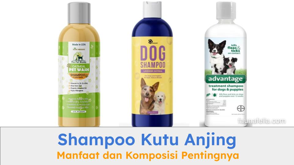 Shampoo kutu anjing dapat mengatasi berbagai masalah kulit dan bulu anabul